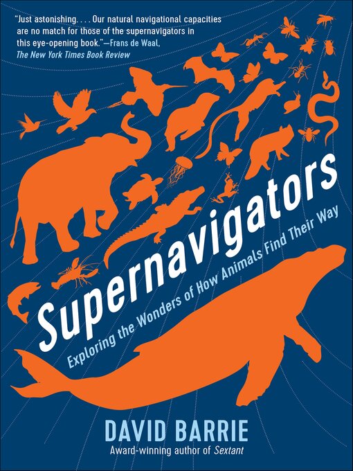 Cover image for Supernavigators